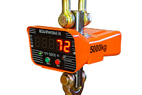 Весы электронные крановые с индикацией TOR OCS-TY-С 5T (X) Весы электронные крановые с индикацией TOR OCS-TY-С 5T (X)