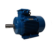 Двигатель подъема для лебедок электрических ЛМ(JM) 3,0 т Двигатель подъема для лебедок электрических ЛМ(JM) 3,0 т